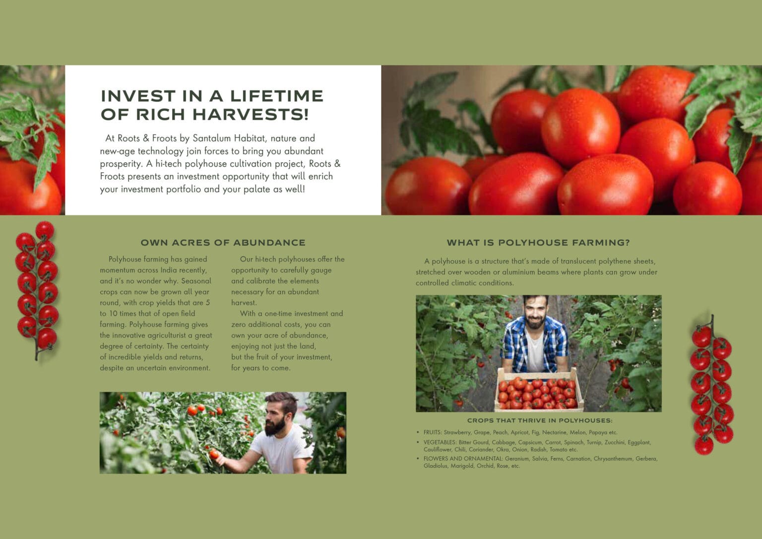 Santalum Polyhouse-Brochure-V2-April