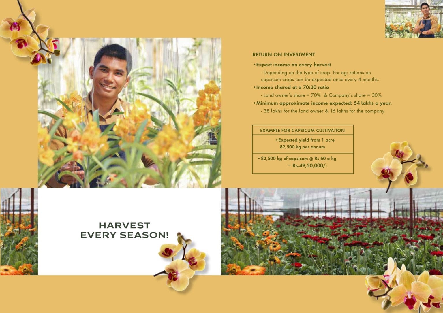 Santalum Polyhouse-Brochure-V2-April